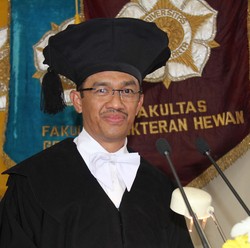 Tolak Aksi Sadis, Ini Cara Simpel Kendalikan Rabies Versi Guru Besar UGM