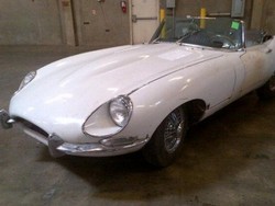 Jaguar Ini Kembali Ke Pemilik Setelah 46 Tahun Hilang