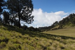 Naik Gunung Lawu dari Candi Cetho, Banyak Pemandangan Cantik