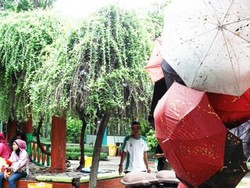 Kreatif, Payung Disusun Jadi Karya Seni