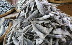 Beginilah Proses Pembuatan Ikan Asin Tradisional