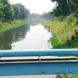 Hiii! Air Kalimalang Berubah Hitam dan Bau, Tapi Warga Rebutan Udang