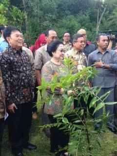 Megawati Ungkap Kisah di Balik Kecintaannya pada Kebun Raya