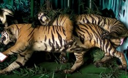 Sst.. Ada Museum Seks yang Terbengkalai di Jepang