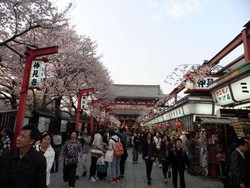 Catat! WNI Bebas Visa Kunjungan ke Jepang Mulai 1 Desember