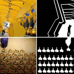 Indahnya Baris dan Deret di Depan Kamera