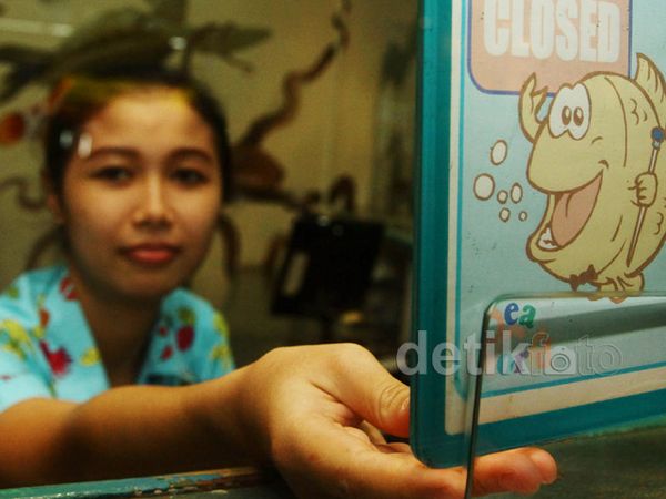 Ancol Tutup Seaworld