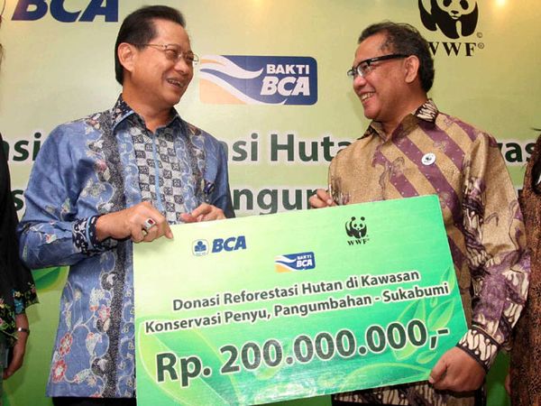 BCA Rangkul WWF untuk Selamatkan Penyu