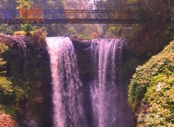 Weekend Asyik di Bandung, Jalan-jalan ke Taman Hutan Raya Djuanda