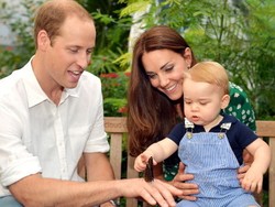 Pangeran George Dikuntit, Kate dan William Minta Perlindungan Hukum