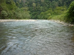 Petualangan Seru ke Taman Nasional Gunung Leuser