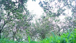 Akhir Pekan di Pasuruan, Bisa ke Mana Saja?