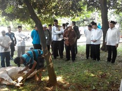 Setya Novanto dan Fadli Zon Saksikan Penyembelihan Hewan Kurban di DPR