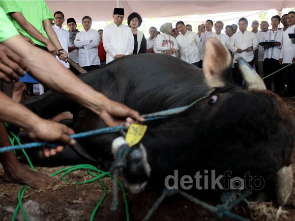 Bank Mandiri Sumbang Hewan Kurban
