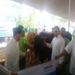 Rayakan Idul Adha, Agus Marto Qurban Sapi Seberat 1 Ton