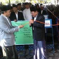 Gubernur Jatim Kurban Sapi Jenis Simental Seberat 1,2 Ton