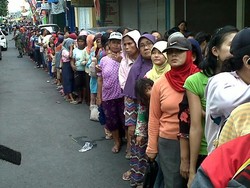 Puluhan Hewan Kurban Berpenyakit Hati Ditemukan di Semarang