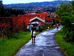 Mengintip Kehidupan Peternak Susu di Gunung Putri, Lembang