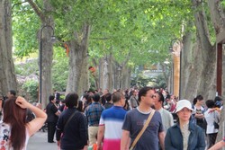 Ingin Kebanjiran Turis Tiongkok, Ini yang Harus Disiapkan