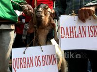 Buruh Bawa Kambing Outsourcing ke Kantor Dahlan