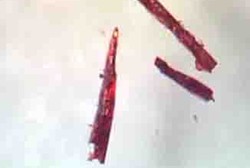 Berkat Kristal Ini, Bernapas di Bawah Air Kini Bukan Khayalan Lagi