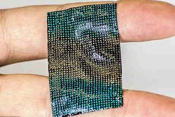 Koyo Pintar, Bisa Ganti Warna Kalau Tubuh Sedang Tidak Sehat