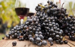 Anggur Hitam Lebih Tinggi Antioksidan Dibanding Anggur Hijau