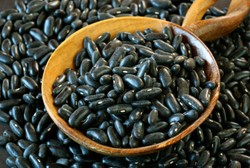 Kacang Hitam Punya Kandungan Antioksidan Tertinggi Diantara 11 Kacang Lain