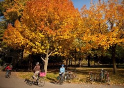 8 Kota Ini Punya Trek Jogging Keren! (2)