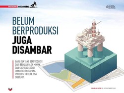 Belum Berproduksi Juga Disambar