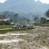 Berpetualang Menelusuri Warisan Budaya Toraja