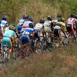 Pebalap dari 14 Negara Siap Bertarung di International Tour de Banyuwangi Ijen