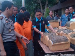 Upaya Kelabui Petugas, 225 Kg Ganja Disembunyikan dalam Tumpukan Pisang