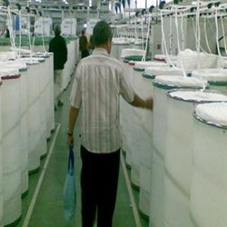 Dolar Tembus Rp 12.000, Impor Barang Murah dari Tiongkok Bakal Lesu