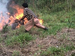 Lahan Penghijauan di Gunung Walat Sukabumi Terbakar