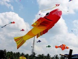 Layang-layang Sering Bikin Listrik Padam di 2 Daerah Ini