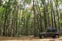 Sudut-sudut Cantik Taman Nasional Alas Purwo, Banyuwangi