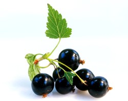 5 Buah Hitam Paling Populer di Dunia