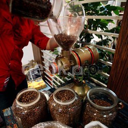 Produksi Kopi RI Turun Tiap Tahun, Ini Penyebabnya