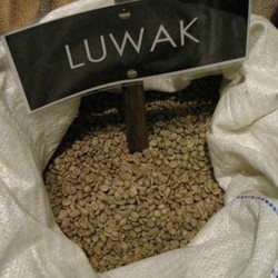 Termahal di Dunia, Ini Keistimewaan Kopi Luwak RI