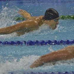 Tim Renang Indonesia Berbenah Guna Hadapi SEA Games 2015