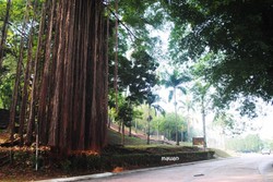 Teduhnya Taman Kota Klang di Malaysia
