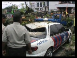 Pohon Tumbang Timpa Mobil Patwal Polisi di Binjai Sumut
