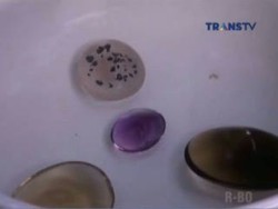 Mengenal Kecubung, Batu Alam Asli Khas Ketapang