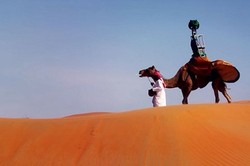 Bikin Street View di Abu Dhabi, Google Pakai Unta