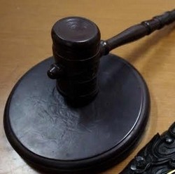 Petrik si Pembunuh Nenek Divonis 13 Tahun Penjara