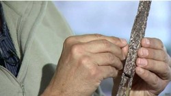 Ditemukan! Fosil Warga Tertua Kota Paris di Sungai Seine