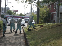 Menjaga Kesehatan, Alasan Opa-Oma di Jepang Gila Kerja Meski Sudah Pensiun