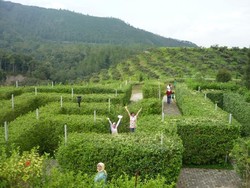 Ke Danau Toba, Coba Serunya Tersesat di Taman Labirin