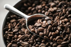 Kopi Luwak Pangalengan Terjual 105 Dollar Per Kilogram di Lelang Kopi Spesialiti 2014